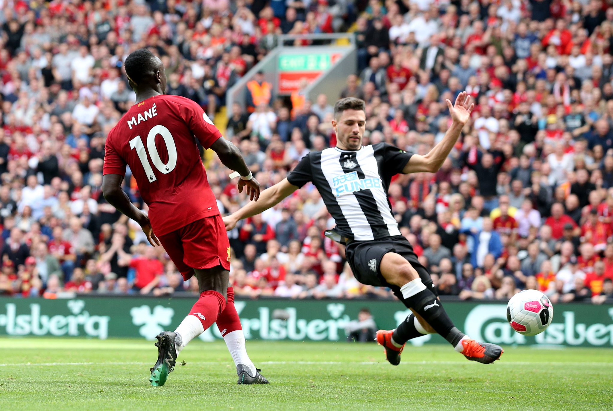 成熟的前球 成熟的前球